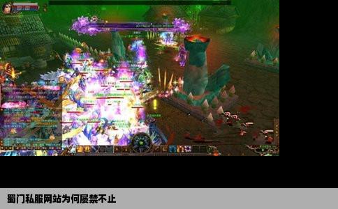 蜀门私服网站为何屡禁不止