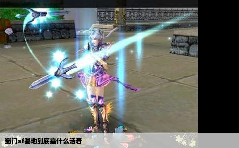 蜀门sf基地到底靠什么活着