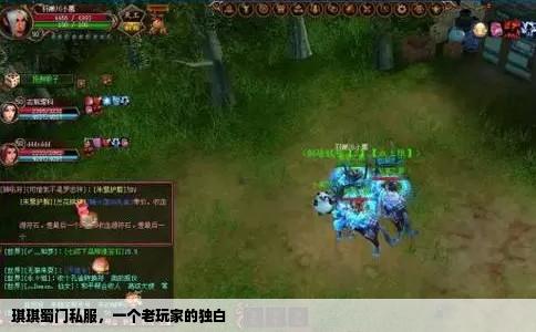 琪琪蜀门私服，一个老玩家的独白