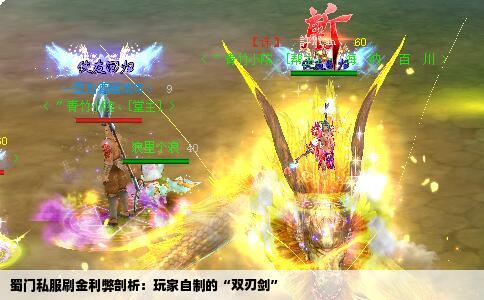 蜀门私服刷金利弊剖析：玩家自制的“双刃剑”