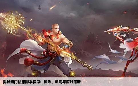 揭秘蜀门私服脚本程序：风险、影响与应对策略