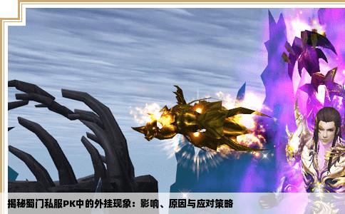 揭秘蜀门私服PK中的外挂现象：影响、原因与应对策略